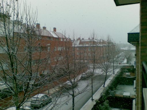 Nieve en Las Rozas 2